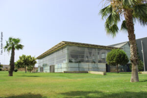 Centro-Municipal-de-Ocio-Torrevieja-vacunacion masiva covid 19