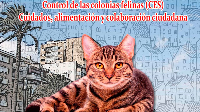 Proyecto-CES-Torrevieja-castrar-esterilizar-soltar-CONCEJALÍA-DE-PROTECCIÓN-ANIMAL-3