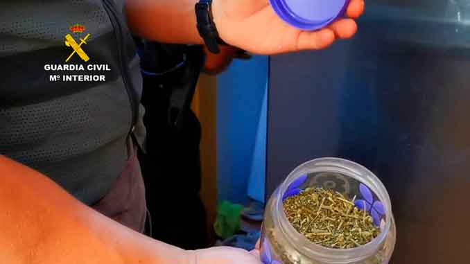 okupas-detenidos-en-Torrevieja-vendiendo-marihuana-1