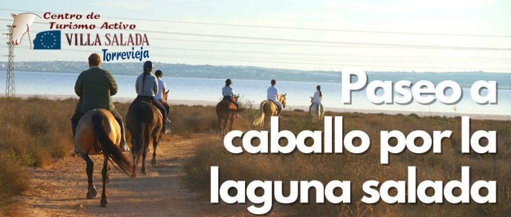 Paseo a caballo por la laguna salada VillaSalada Torreviejacom