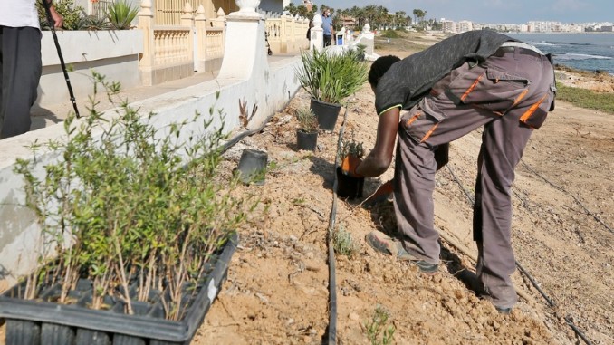 recuperación ambiental torrevieja
