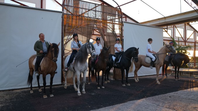 Clases-de-hipica-en-Torrevieja-1-1-1