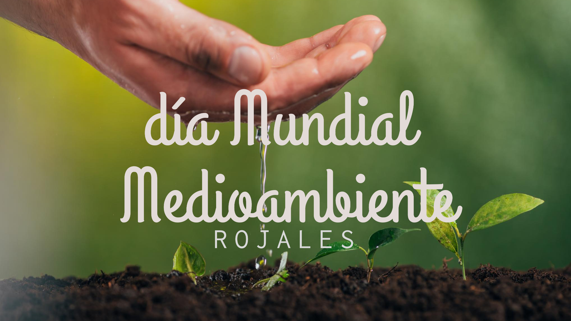dia mundial medioambiente rojales