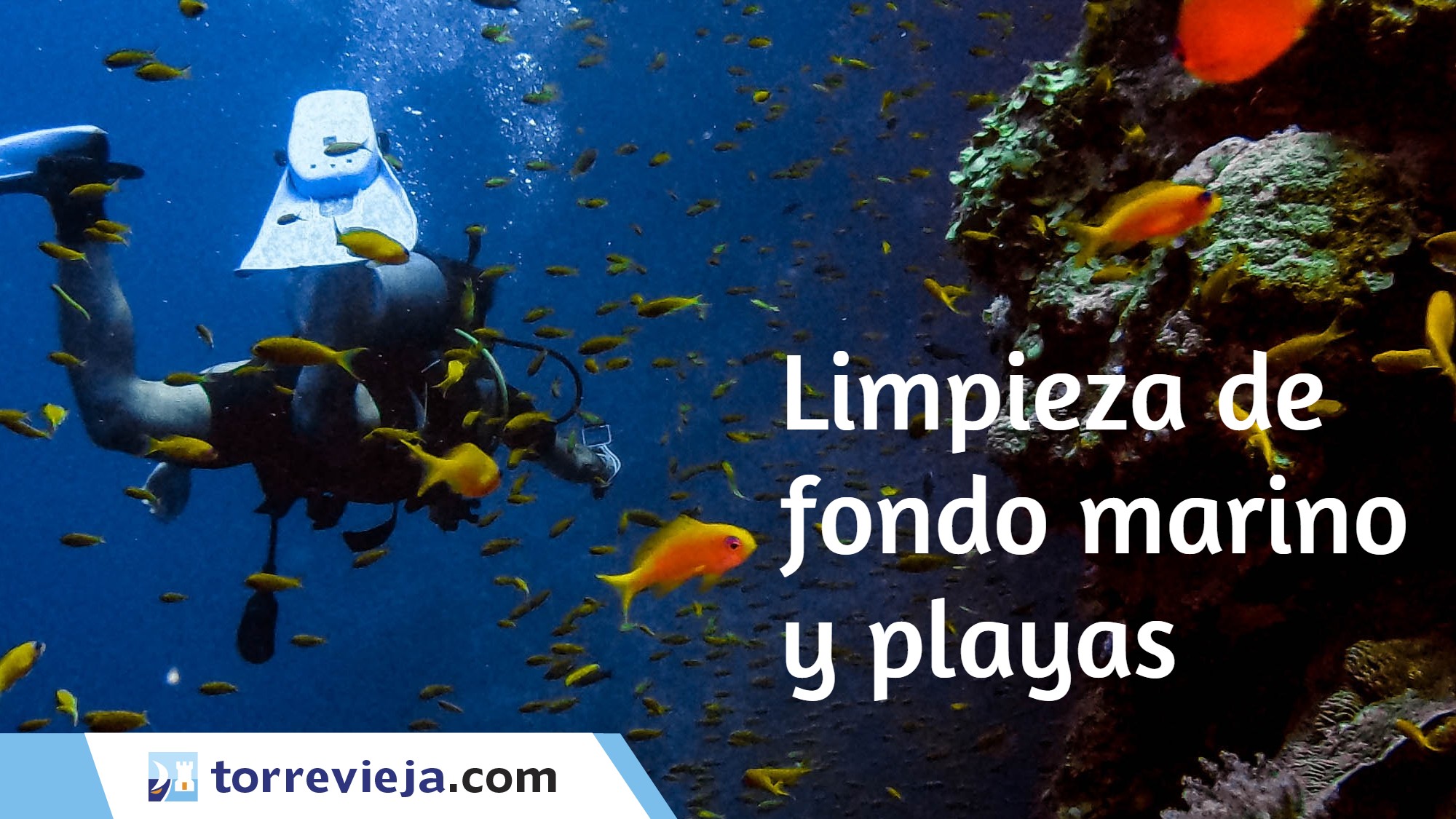 limpieza fondos marinos playas club de buceo torrevieja plataforma huellas verdes  recogida plasticos