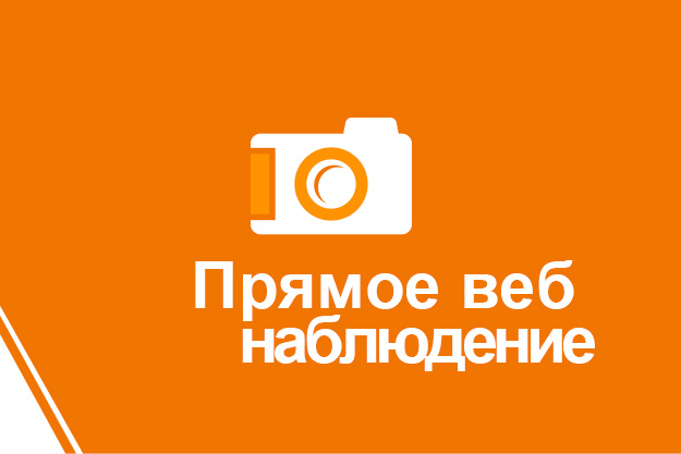 Прямое веб наблюдение Прямое веб наблюдение