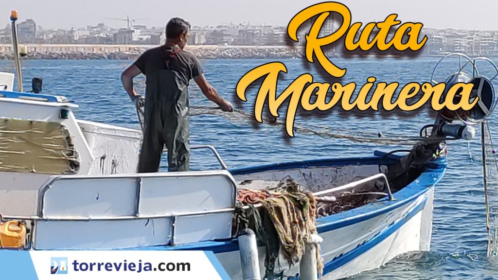 ruta marinera visita lonja pescado Torrevieja