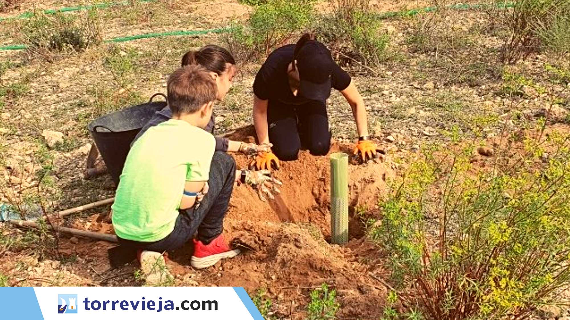 Aprende a plantar aprovechando el agua al máximo