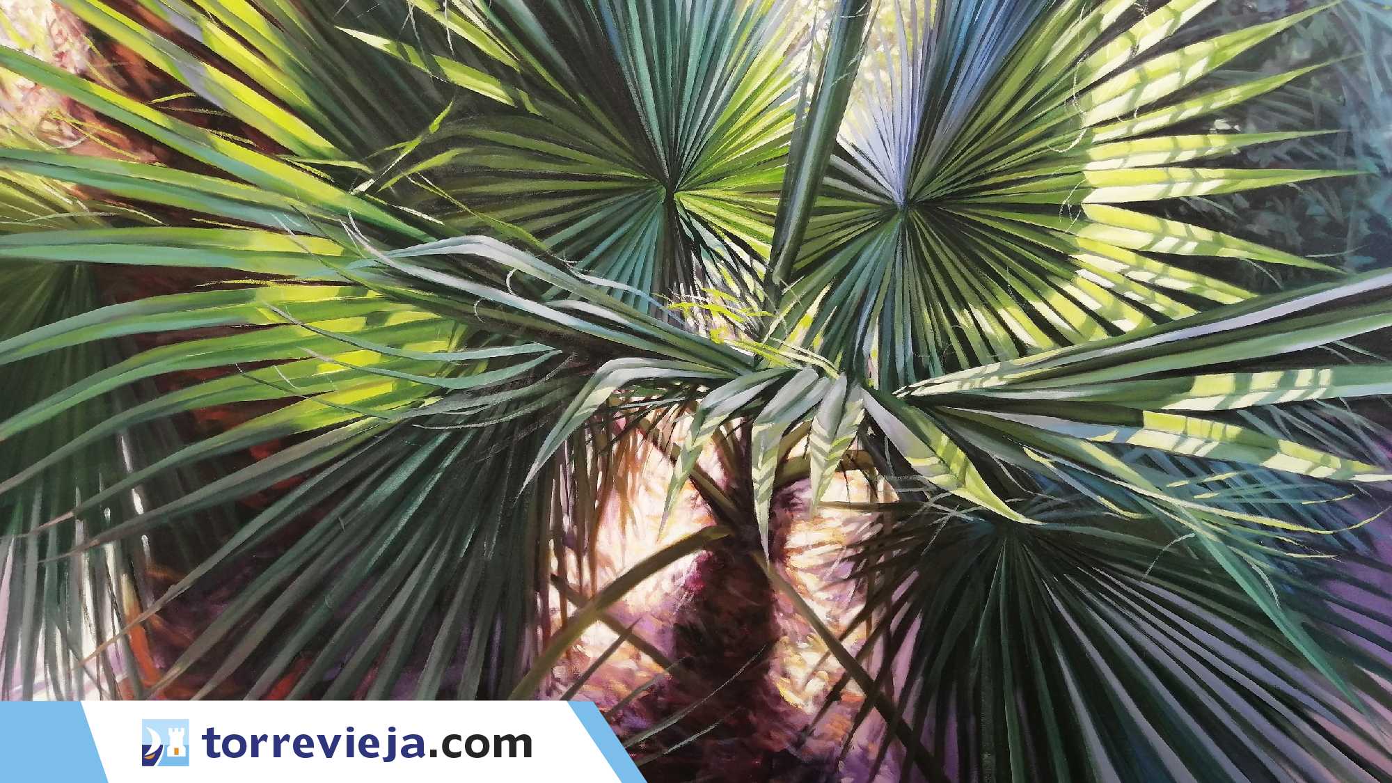 Exposición de pintura Mi Naturaleza Torreviejacom