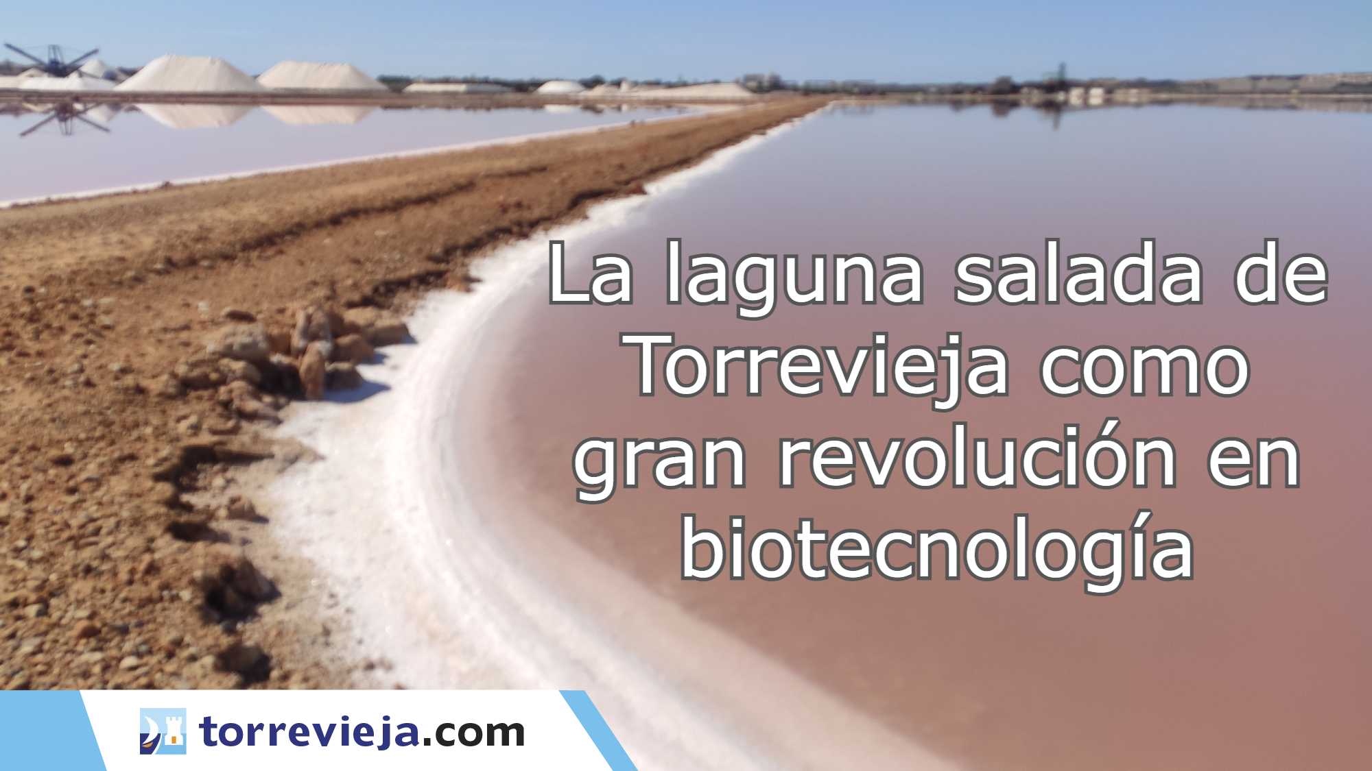 La laguna salada de Torrevieja como gran revolución en biotecnología