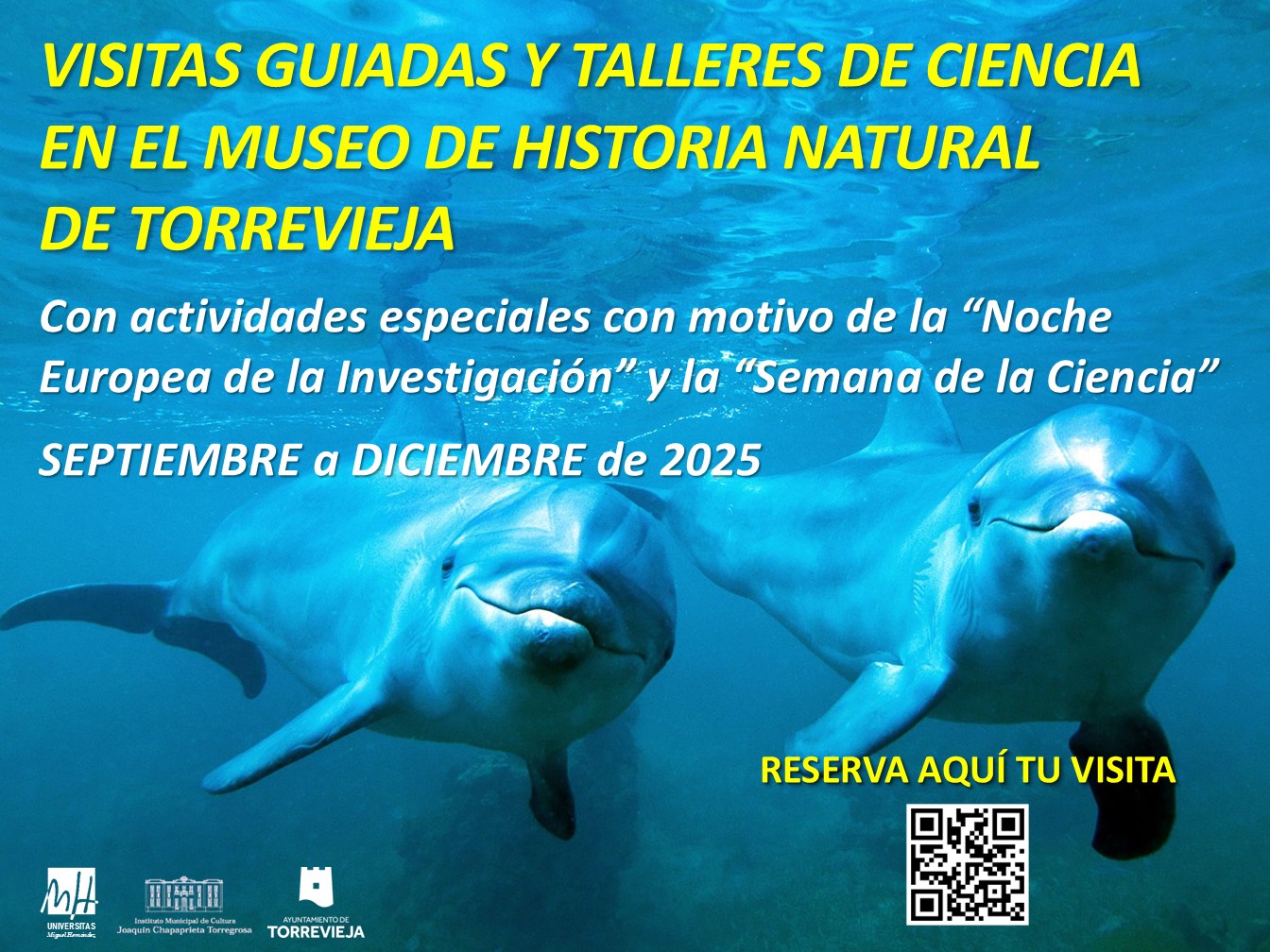Free guided tours of the Natural History Museum of Torrevieja