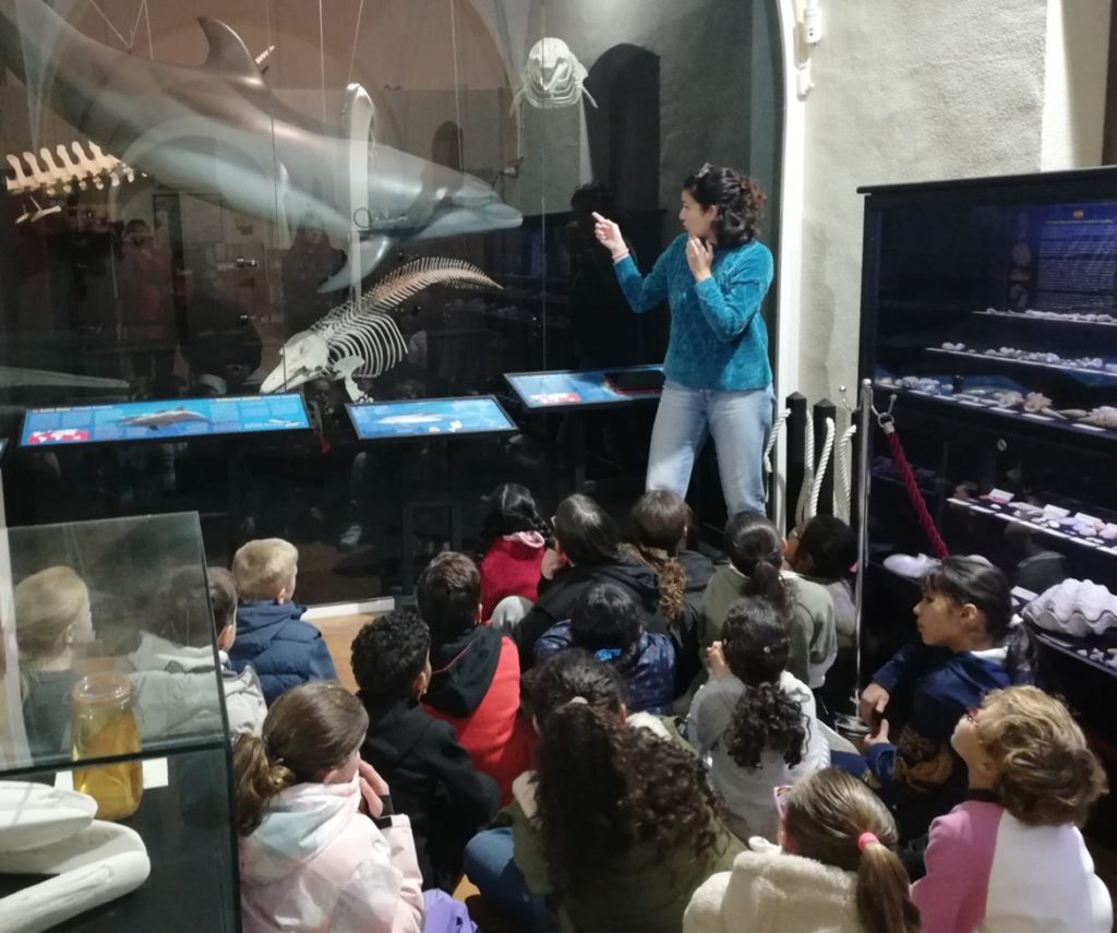 Free guided tours of the Natural History Museum of Torrevieja organized by ARS CREATIO