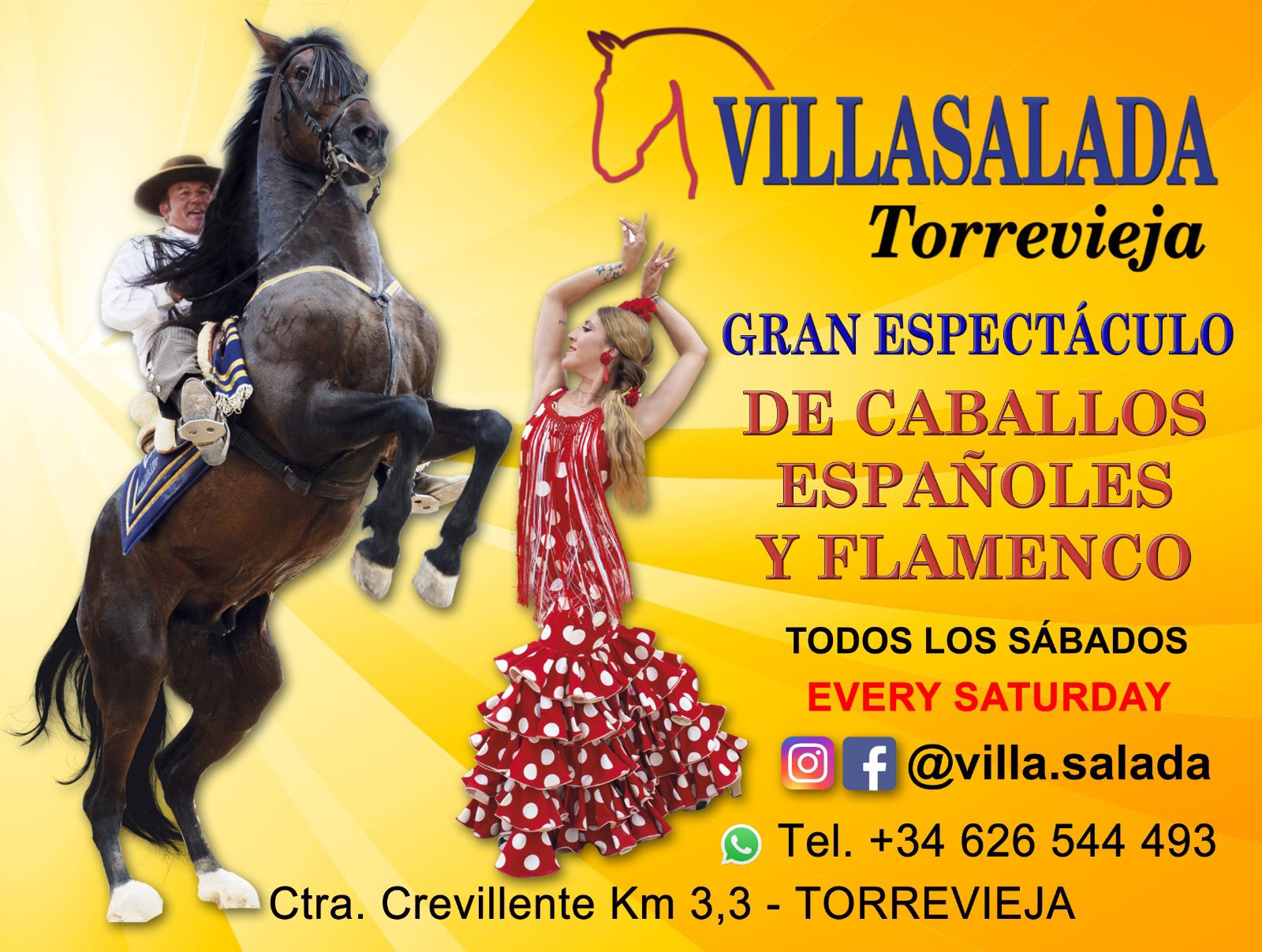 flamenco y caballos en Torrevieja