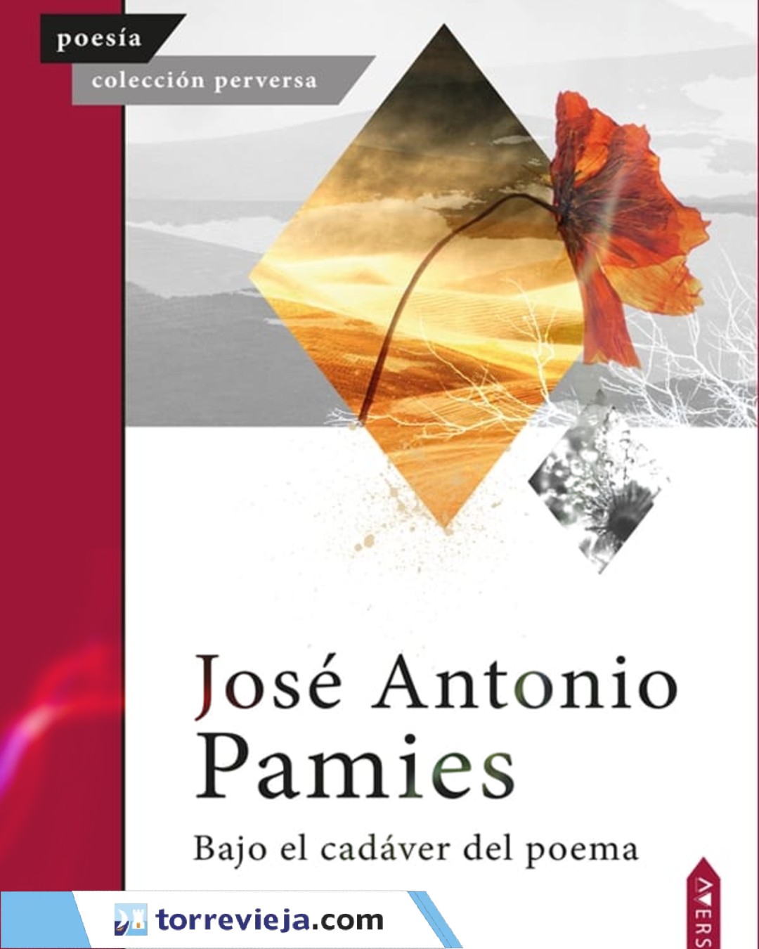 FIRMA DE EJEMPLARES CON EL POETA JOSE ANTONIO PAMIES