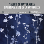 Taller de cianotipia en el Parque Natural de La Mata y Torrevieja