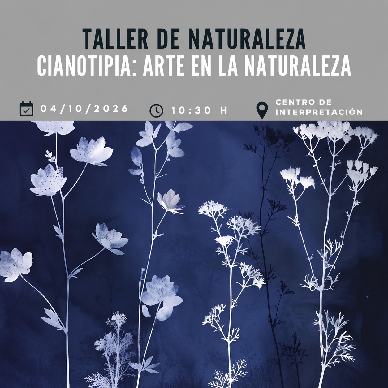 Taller de cianotipia en el Parque Natural de La Mata y Torrevieja