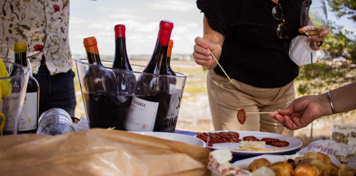 Degustación de vinos de La Mata – Visita la bodega Sopla Levante